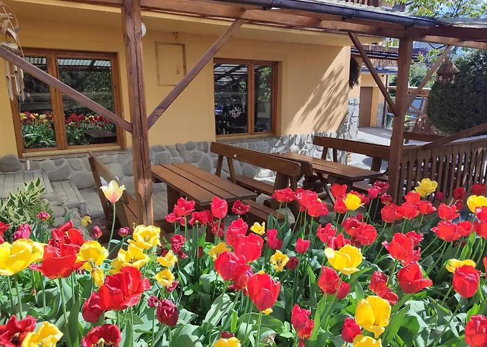 Pokoje I Apartamenty U Dragonka Sniadania I Obiady