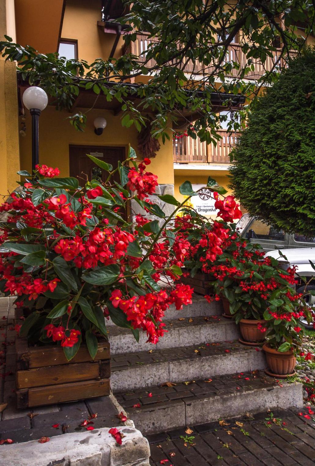 Apartment I U Dragonka Sniadania I Obiady Szczawnica