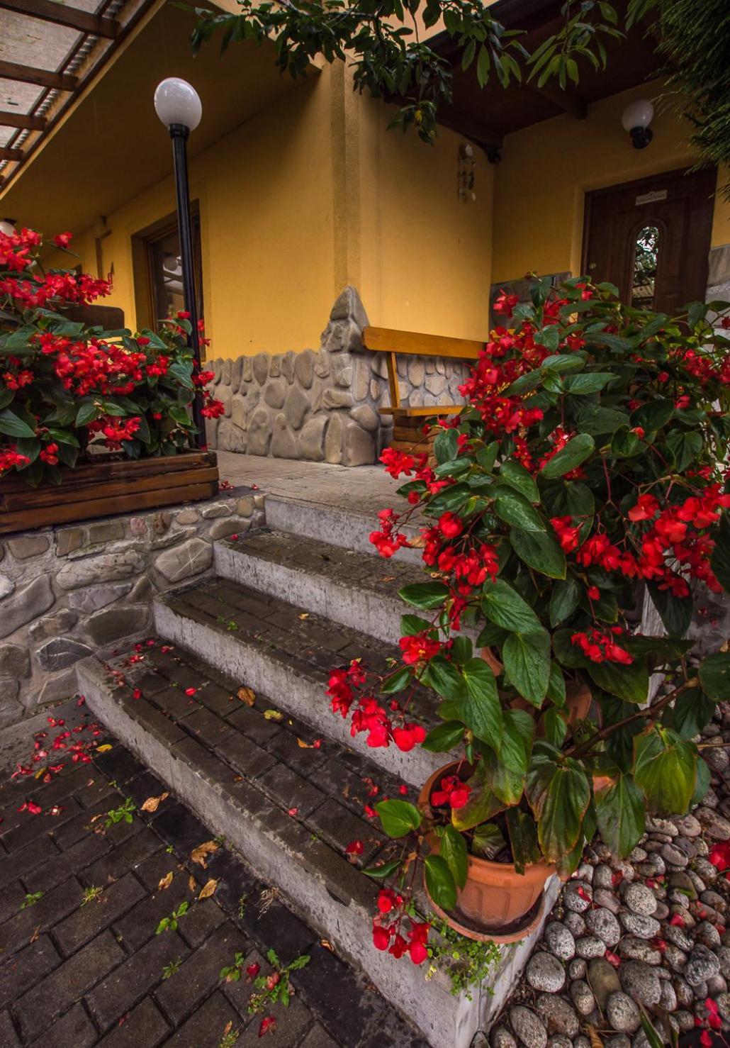 I U Dragonka Sniadania I Obiady Apartment Szczawnica